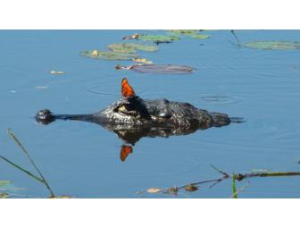 5 Day Pantanal Experience on Horseback for one