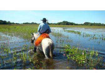 5 Day Pantanal Experience on Horseback for one