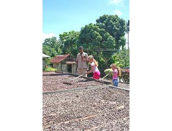 Saint Lucia Romantic Getaway 5 Nights for 2 at Fond Doux Holiday Plantation