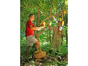 Saint Lucia Romantic Getaway 5 Nights for 2 at Fond Doux Holiday Plantation