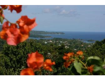Jamaica Hotel Mockingbird 5 Nights for 2