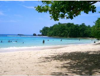 Jamaica Hotel Mockingbird 5 Nights for 2