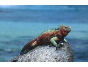 Galapagos Islands with Ecoventura - 7 Nights for 2