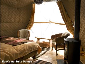 Patagonia Wildlife Safari, 5 days for 1