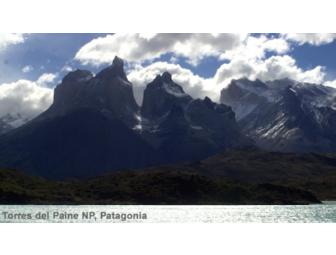 Patagonia Wildlife Safari, 5 days for 1