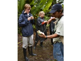 La Selva Jungle Lodge - All Inclusive Package (6 nights for 2 - local airfare included!!!)