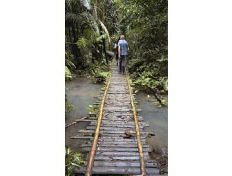 La Selva Jungle Lodge - All Inclusive Package (6 nights for 2 - local airfare included!!!)