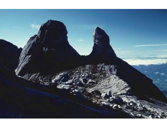 Kinabatangan Wildlife Safari, Borneo, 3 days/2 nights for 2