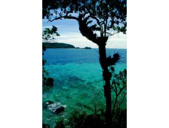 Kinabatangan Wildlife Safari, Borneo, 3 days/2 nights for 2