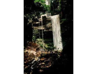 Kinabatangan Wildlife Safari, Borneo, 3 days/2 nights for 2