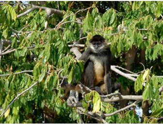 8 Nights for One - Heart of Nicaragua Tour with !Un Buen Viaje!