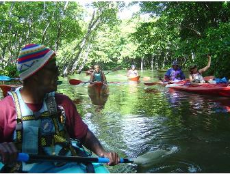 Matava - Fiji's Premier Eco Adventure Resort, 7 nights for 2