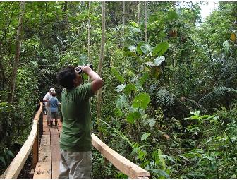 Heliconia Amazon River Lodge in Yanamono, Peru, 2 Nights for 2
