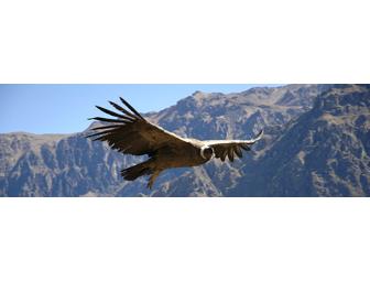 Andean Highlands Trek to the Lares Valley (Cusco), 4 days / 3 nights for 2