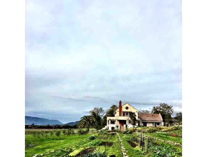 Scribe Winery: Hacienda Food & Wine Tasting for Four