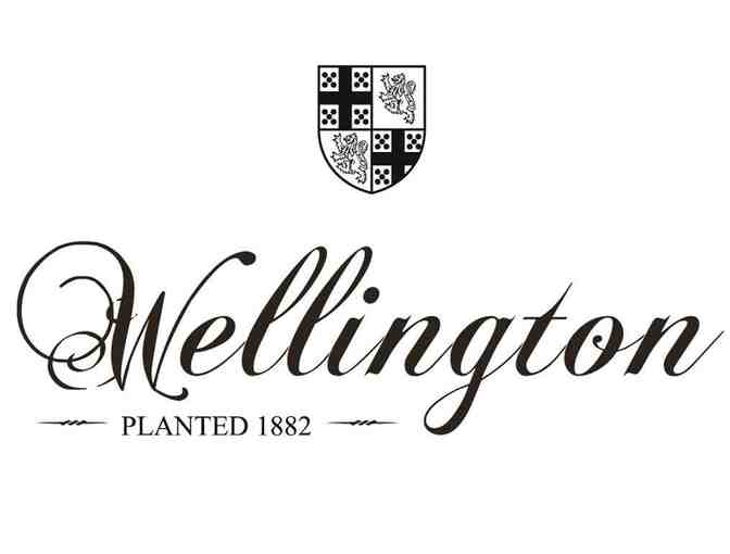 Wellington and VJB Cellars VIP Tastings for Four #2