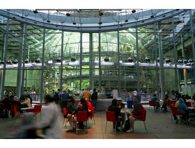 Golden Gate Park Day