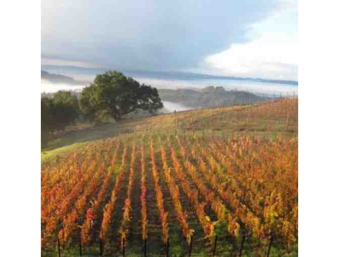 Sonoma County Wine Getaway for Six