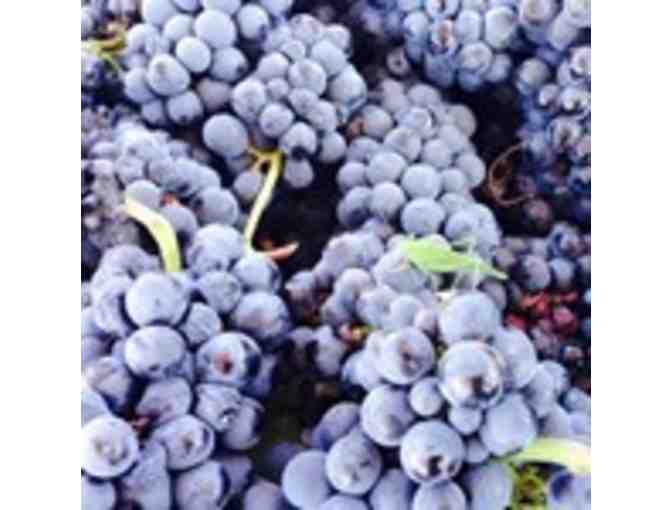 Lichen Estate Tour & Tasting