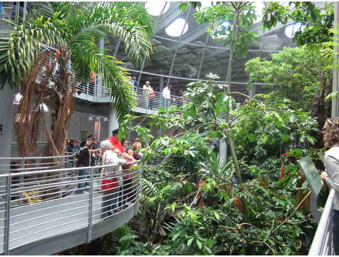 Golden Gate Park Day