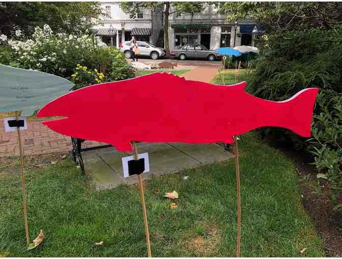 Rosewater Wine & Spirits - Colin Ruel