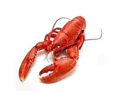 ProFish 10-2lb Lobsters w/ Delivery