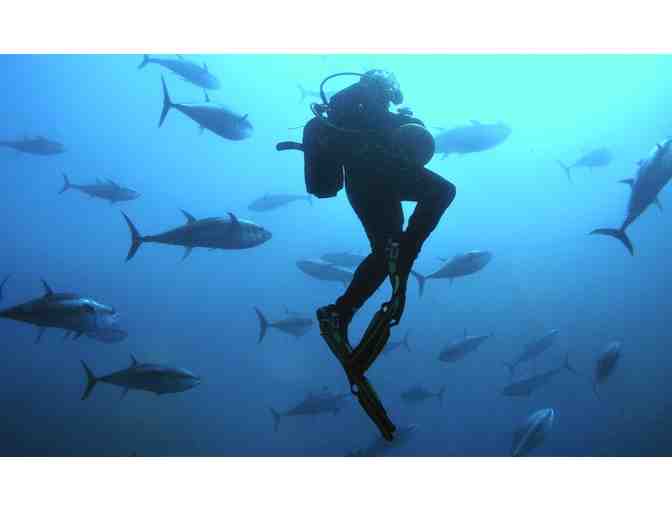 Scuba Diving Experience for (2) People