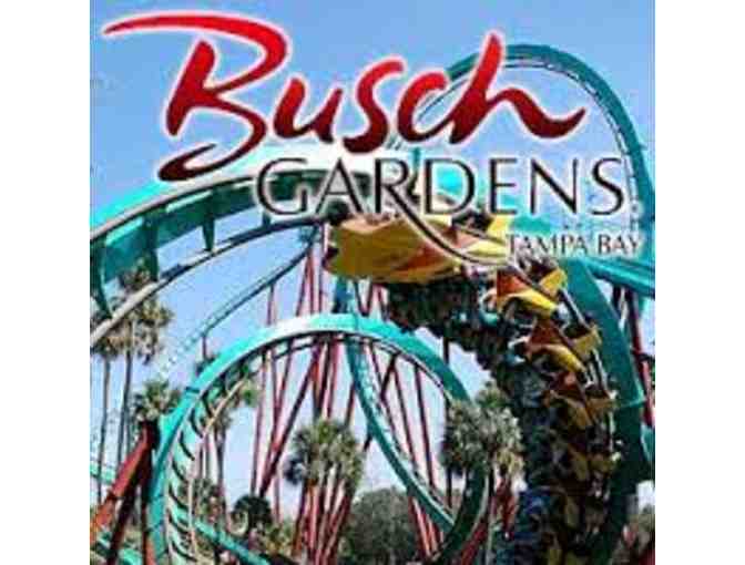 Two Busch Gardens Tampa Single Day Admission Passes