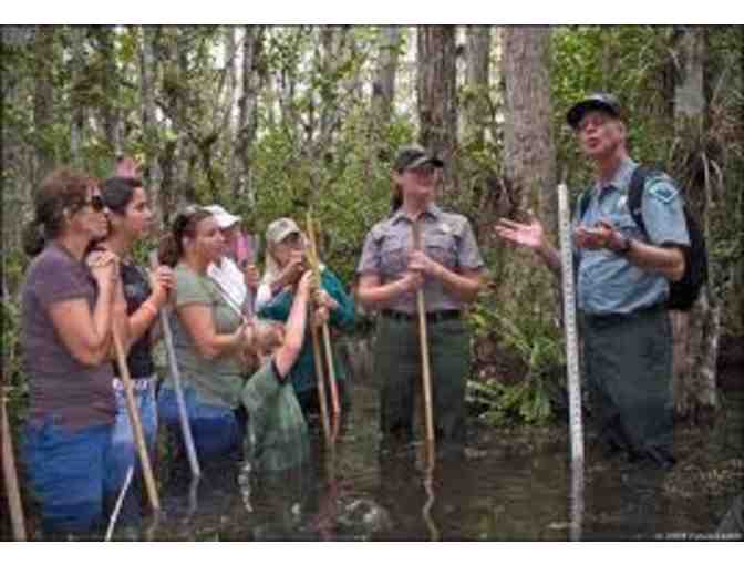 Big Cypress Swamp Walk for Two