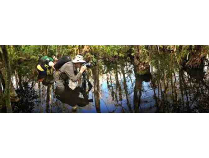 Big Cypress Swamp Walk for Two