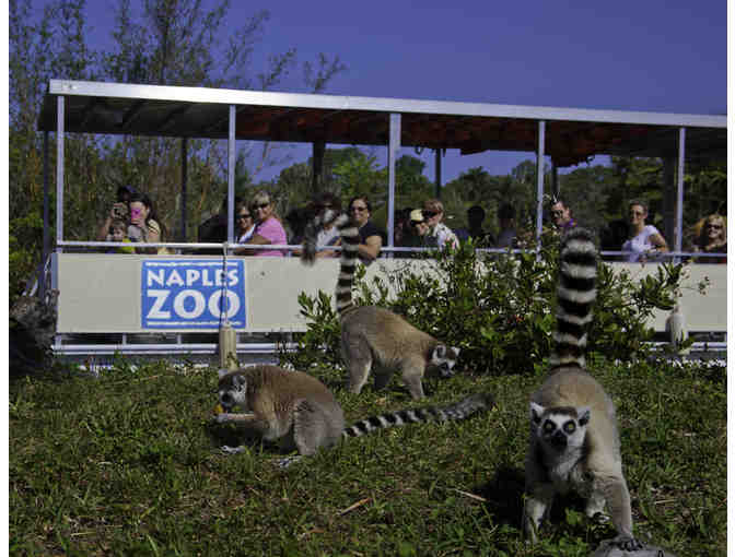 Family Pack of Admission Tickets to Naples Zoo