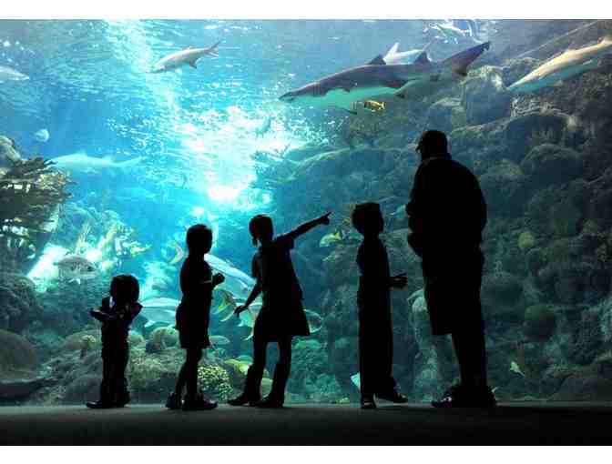 (2) General Admission Tickets to The Florida Aquarium in Tampa, FL
