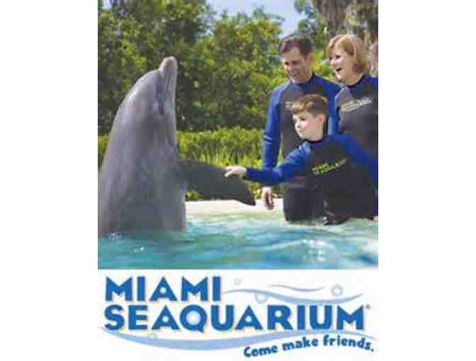 Dolphin Odyssey Adventure for Two at Miami Seaquarium