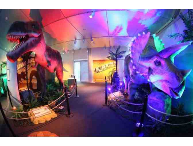 (4) Admission Passes to the South Florida Science Center and Aquarium