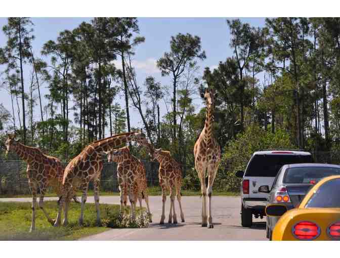 (2) Tickets for Admission to Lion Country Safari with Complimentary Parking - Photo 2