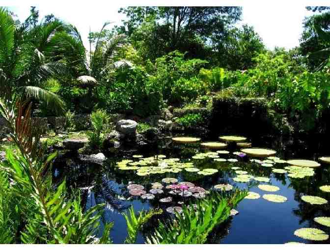 Visit the Garden All Year with a Family Membership to Fairchild Tropical Botanic Garden - Photo 3
