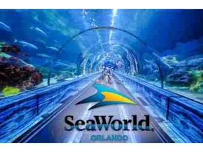 Enjoy Four (4) Single Day Tickets to SeaWorld Orlando.