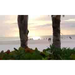 Live For Today Travel