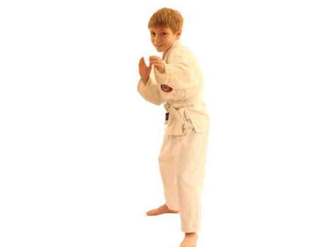 Karate Class for Tiger Cubs (3-6 Year Olds) Gift Certificate--2 Months-Upper East Side