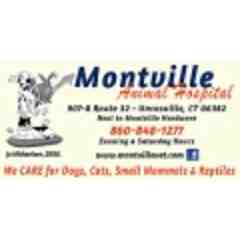 Montville Animal Hospital