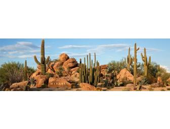Golf Package at Mirabel Country Club in Scottsdale, Arizona