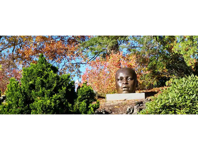 deCordova Sculpture Park and Museum, Lincoln, MA - Guest passes for 4 people