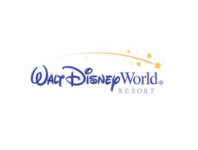 Walt Disney World Parks, Orlando, FL - 2 One Day Hopper Passes