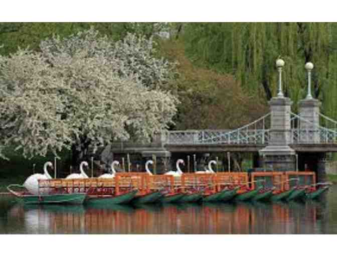 Swan Boats, Boston - Certificate for 10 Rides