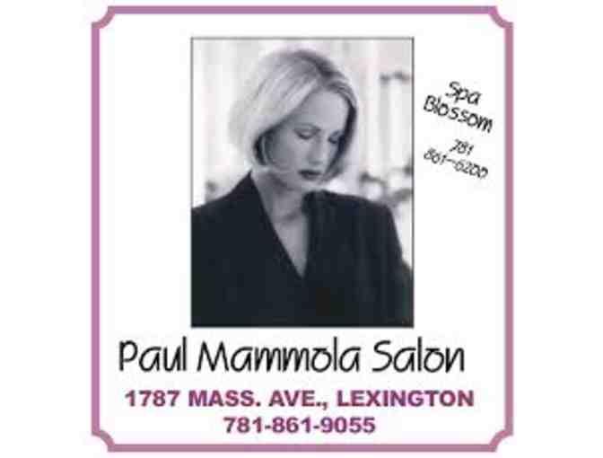 Paul Mammola Salon & Spa, Lexington, MA - $50 Gift Card