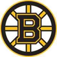 Boston Bruins