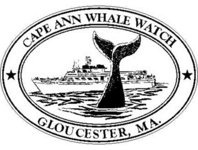 4 Tickets - Cape Ann Whale Watch