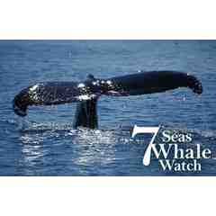 7 Seas Whale Watch