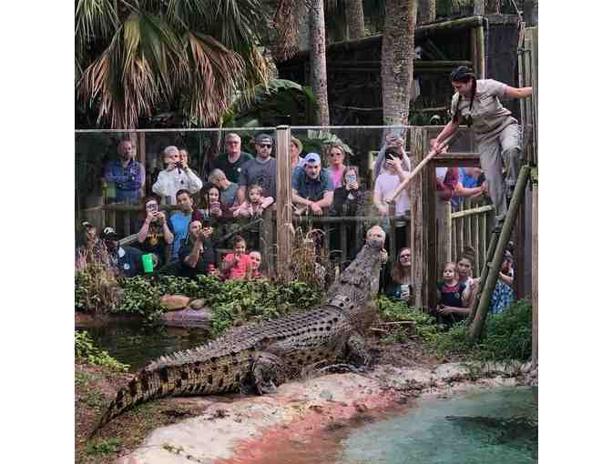 Alligator Farm - 1 Day Pass for 4 People