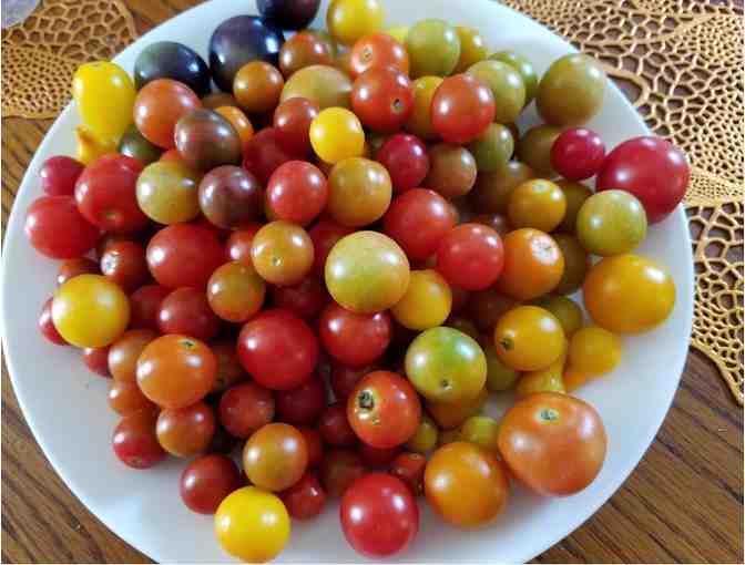 25 LB Mixed Box of Fresh In-Season Produce from Morrison Tomato Farm
